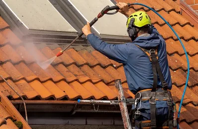 Démoussage et hydrofuge de toiture aux Sauvages